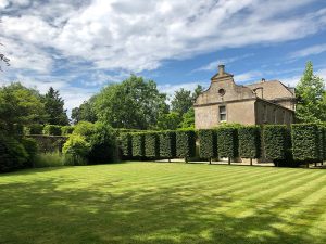 Designing Your Dream Garden in Somerset