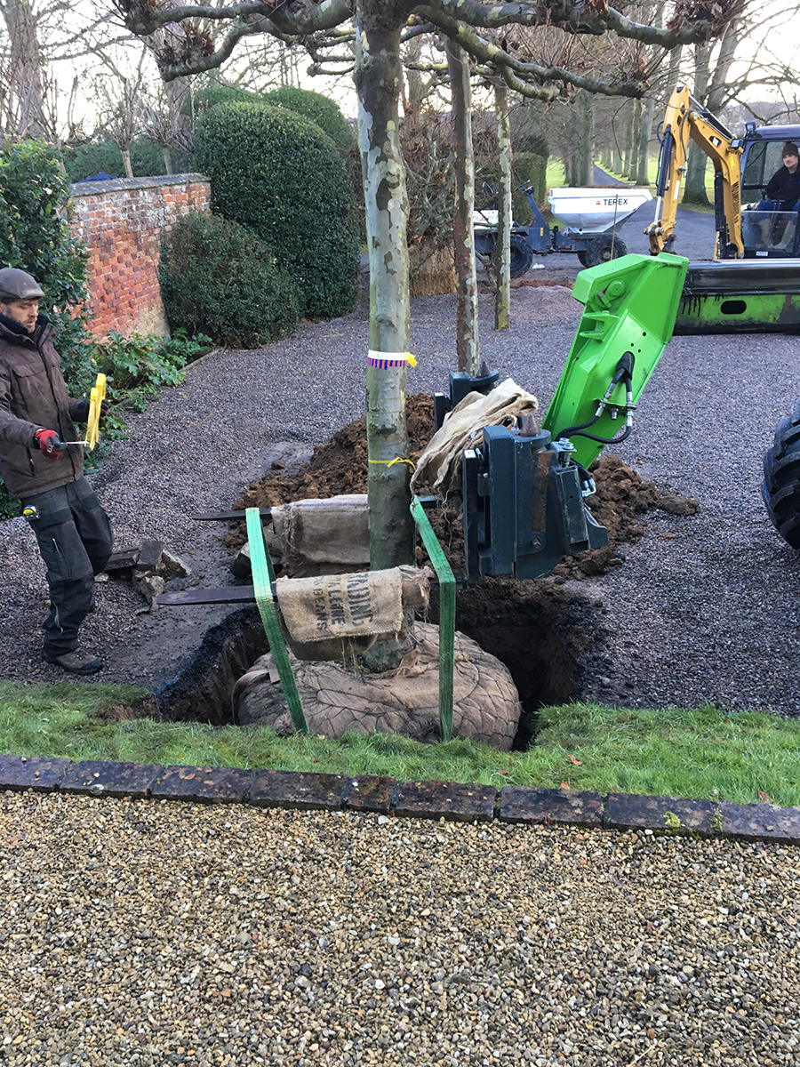 Photo-08-12-2017-09-16-24sm