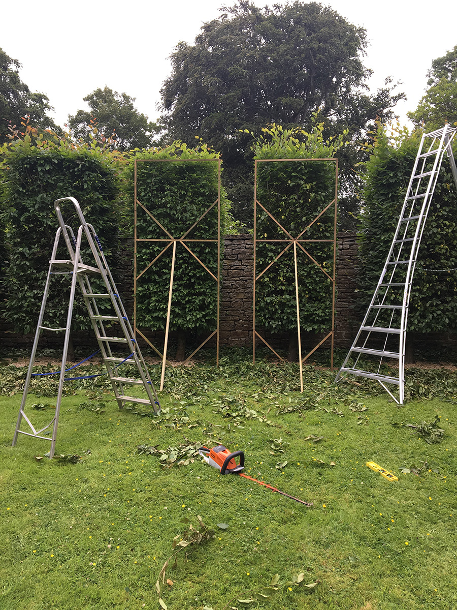 Photo-20-06-2018-10-36-49sm