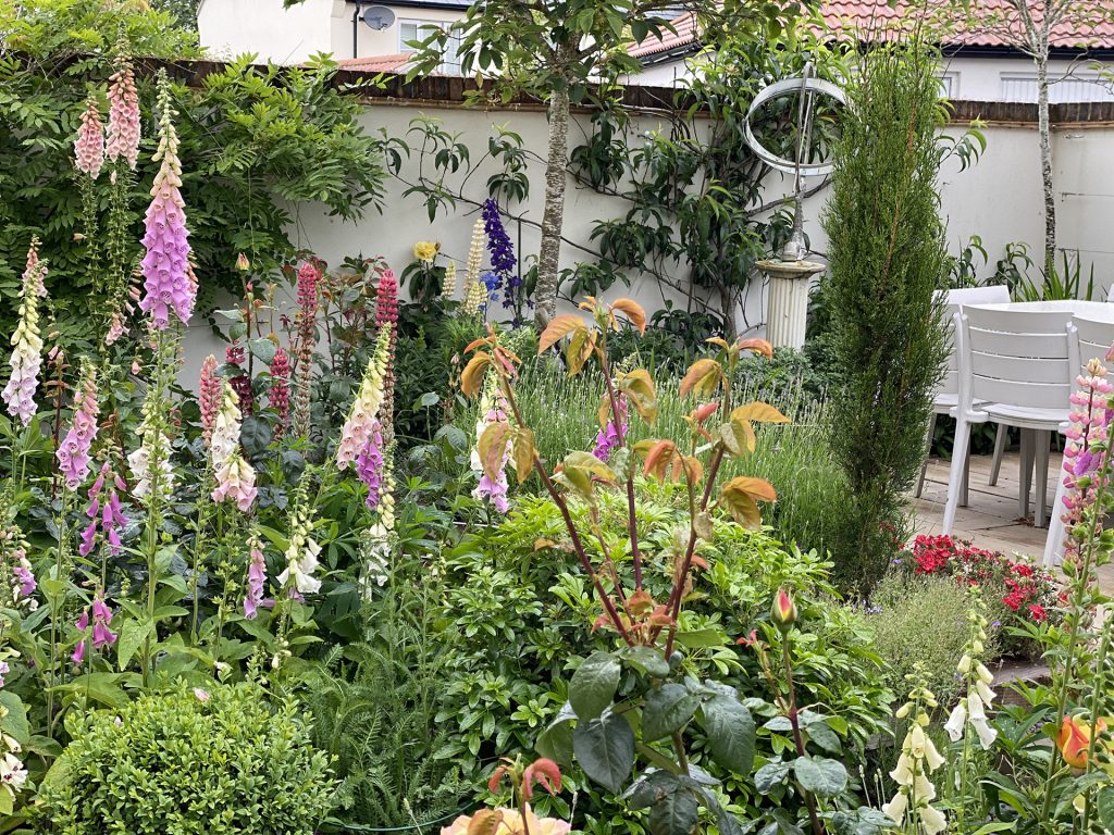 New build garden design project in Bristol by Compass Garden Design