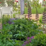 Compass Garden and Landscape Design